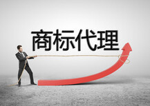 湖北商标注册 为电商入驻与版权代理铺就合规与品牌发展之路